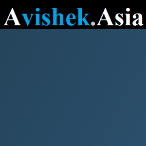 SEO Agency Avishek logo