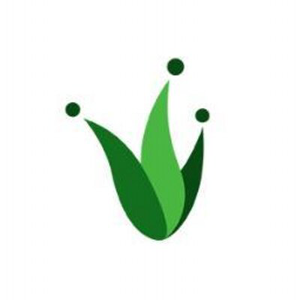 Perfect Fools logo