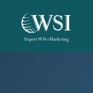 Expert WSI eMarketing (WSI™) logo
