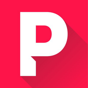 Punch Digital Strategies logo