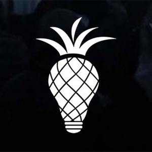 The Pineapple Agency logo