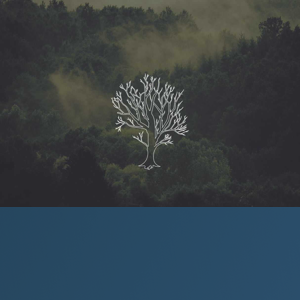 Roble Digital logo