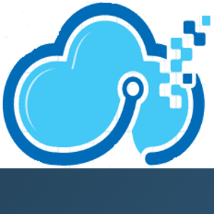 Digital Software Labs logo