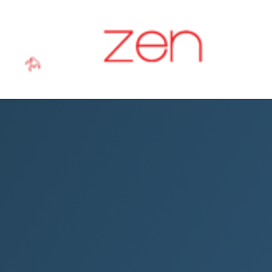 Zenga Solutions logo