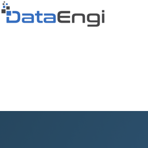 DataEngi logo