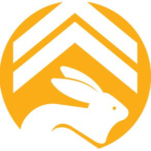 RankRabbit SEO logo
