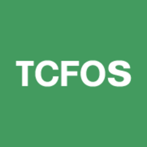 Trusted CFO Solutions logo