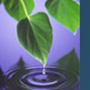 Nancy Dill Consulting logo