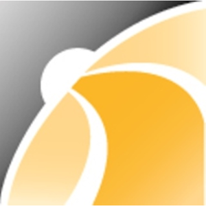 Hall Consulting Group logo