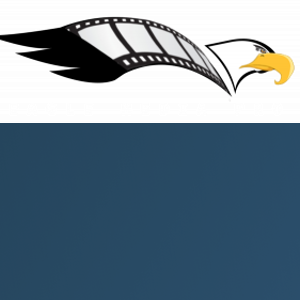 Eagle Media Pro logo