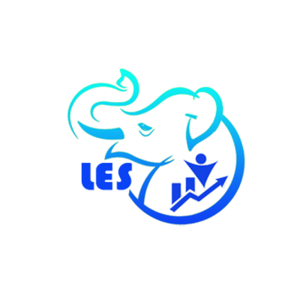 Life Experience Solutions LLC logo