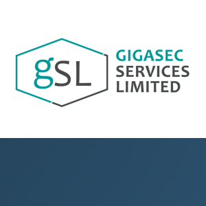 Gigasec Services Limited logo