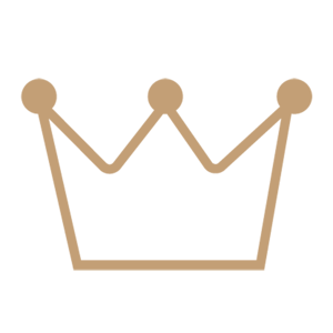 WDIP logo