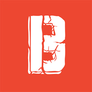 13 Bricks logo