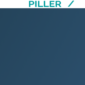 Codepiller IT Services logo