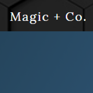 Magic &amp; Co. logo