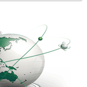 Sunny International Logistics logo
