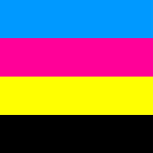 The Design &amp; Print Co. logo