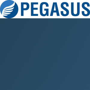Pegasus Manufacturing logo