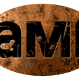 AMI Development logo