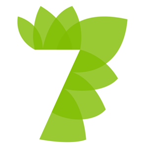 7 Rays Marketing logo