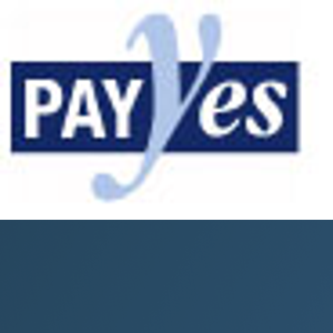PAYYES PAYROLL SERVICE INC. logo