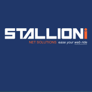 STALLIONI NET SOULUTIONS logo