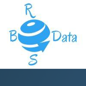 RBS Data Inc logo