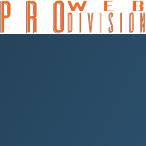 Pro Web Division logo