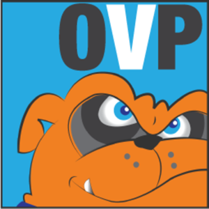 ONLINE VISIBILITY PROS logo