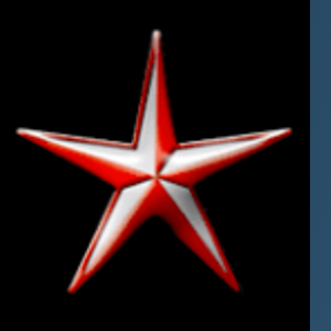 Platinum Tax Solutions logo