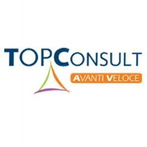 Top Consult logo