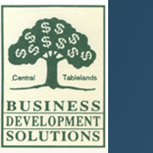 Business Development Solutions logo