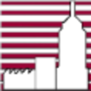 1st Commercial Realty Group Inc. logo