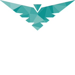 Allies Group logo