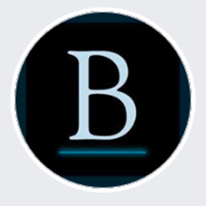 Bright Source Media logo
