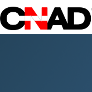 Creative Networks Application Development logo
