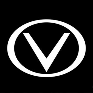 Vizzyness logo