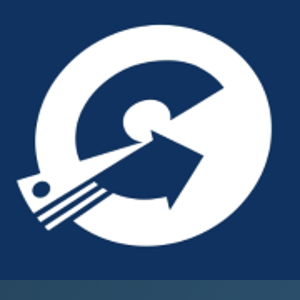 Sistrum Data Recovery logo
