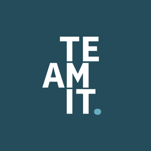 Teamit logo