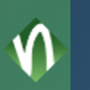 Neos IT Services logo