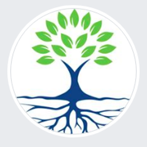 SnapRoot Creative Digital Marketing logo