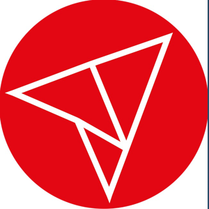 Nine Triangles Digital Pvt. Ltd. logo