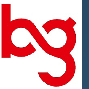 Bridgegap Consultants logo