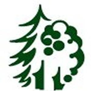 The Woodlands Marketing Agency, LLC logo
