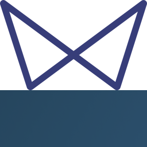 Vitwit logo