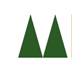 Scott Morrison Consulting, LLC logo