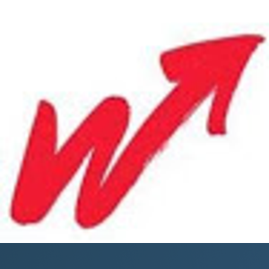 Wolf Management Consultants logo