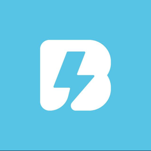 Bridcodes Global logo