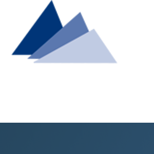 Pinnacle Consulting Group, LLC. logo